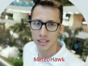 MateoHawk