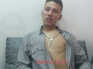 Mateo_Wolf