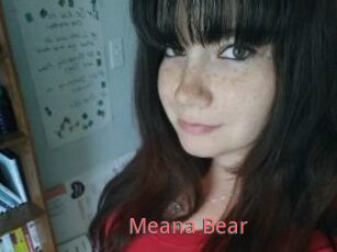 Meana_Bear