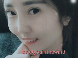 Meetyouinthewind