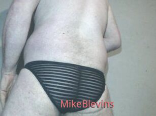 Mike_Blevins