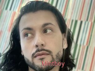 Mintboy