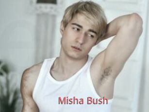 Misha_Bush