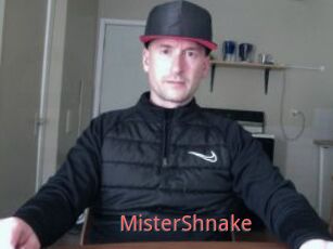 MisterShnake