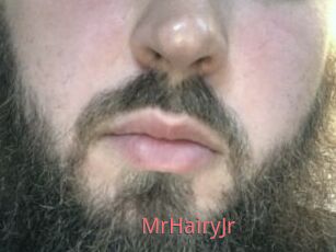 MrHairyJr