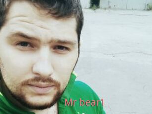 Mr_bear1