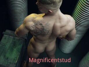 Magnificentstud