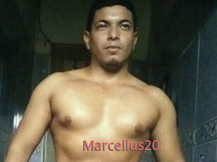 Marcellus20