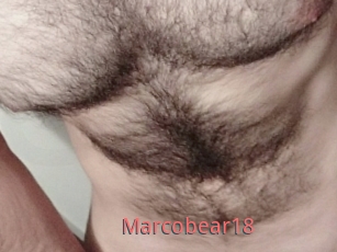 Marcobear18