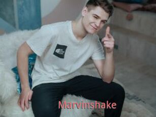 Marvinshake