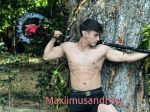 Maxiimusandrety