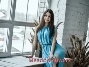 Meadowflowers