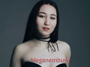 Meganembury