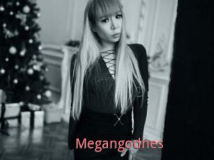 Megangodnes