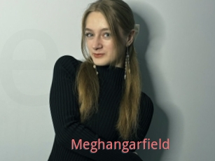 Meghangarfield