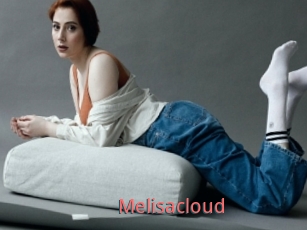 Melisacloud