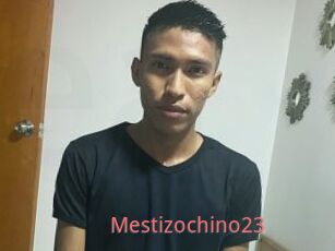 Mestizochino23