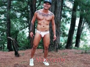 Mike_castle