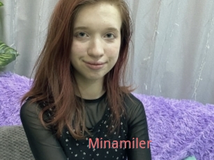 Minamiler