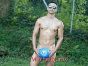 Mitchellburns