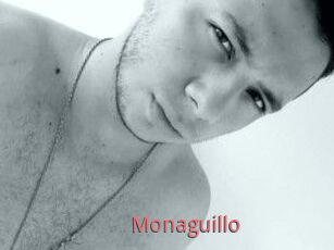 Monaguillo