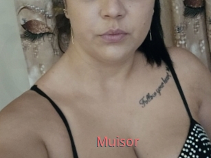 Muisor