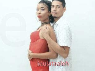 Mulataaleh