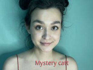 Mystery_catt