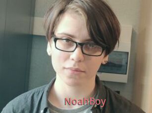 NoahBoy