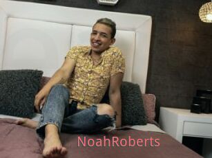 NoahRoberts