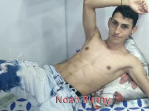 Noah_Bunny