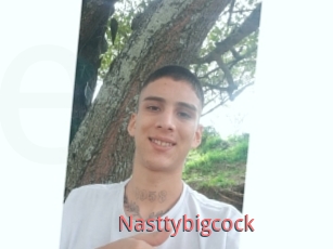 Nasttybigcock