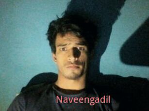 Naveengadil