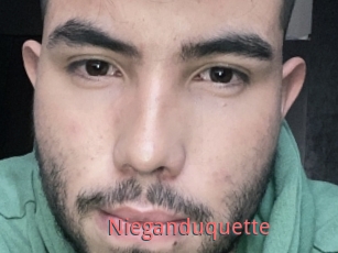 Nieganduquette