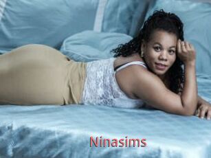 Ninasims