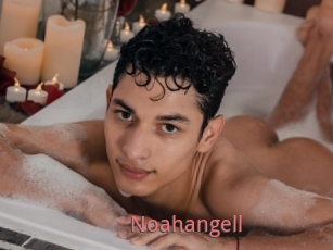 Noahangell