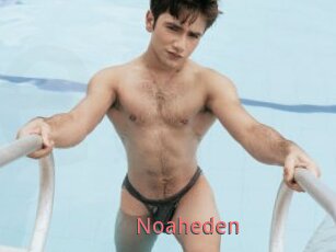 Noaheden