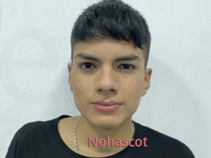 Nohascot