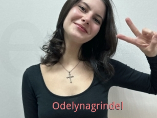 Odelynagrindel