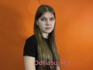 Odiliabuskey