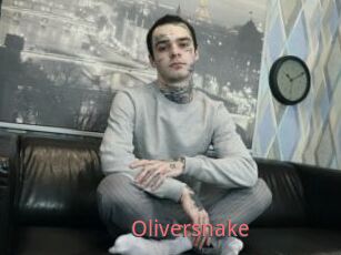 Oliversnake