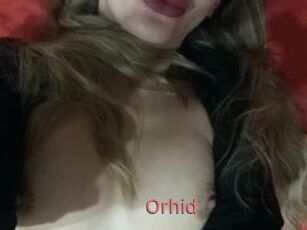 Orhid