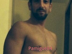 Pamigue84