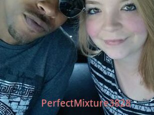 PerfectMixture3828