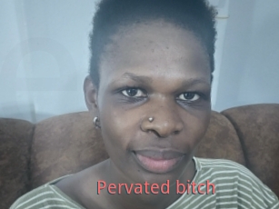 Pervated_bitch