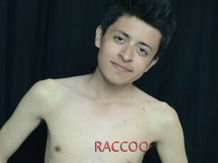 RACCOO