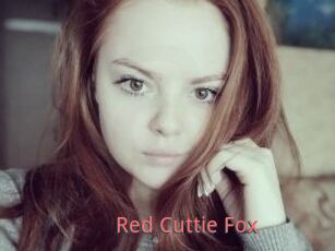 Red_Cuttie_Fox