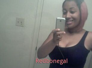 Redbonegal