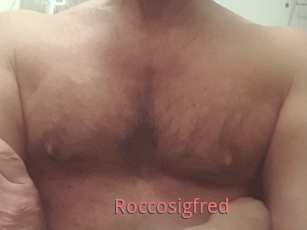 Roccosigfred