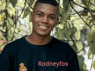 Rodneyfox